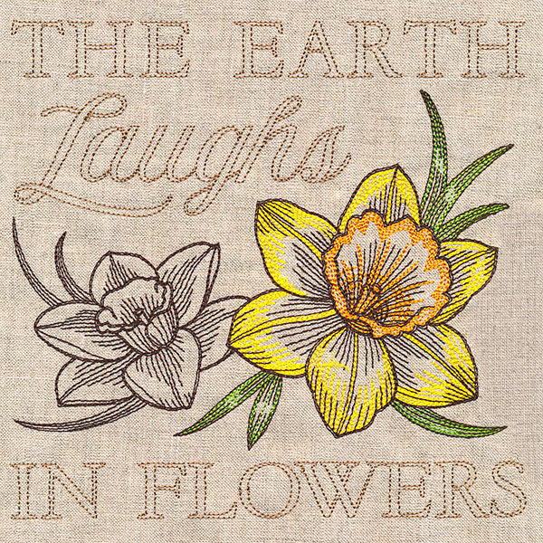 Delightful Daffodils Medley