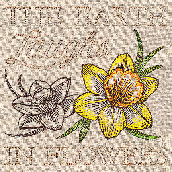 Delightful Daffodils Medley