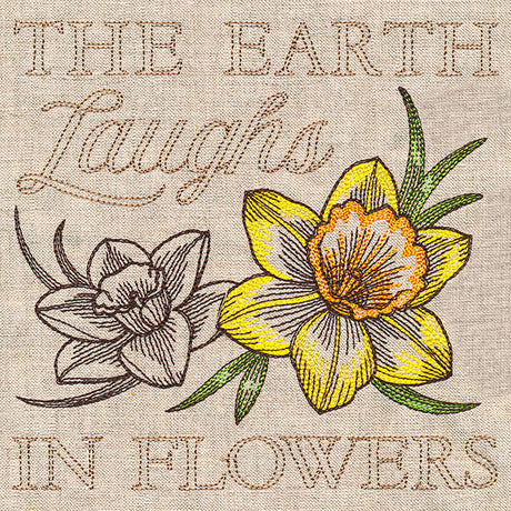 Delightful Daffodils Medley