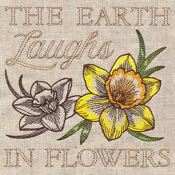 Delightful Daffodils Medley