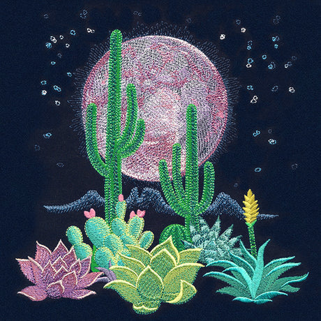 Moonlit Desert Scene