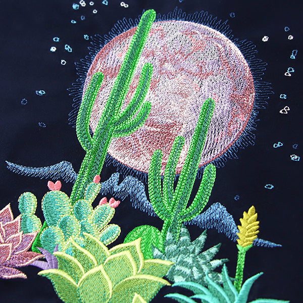 Moonlit Desert Scene