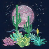 Moonlit Desert Scene