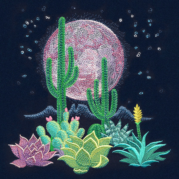 Moonlit Desert Scene