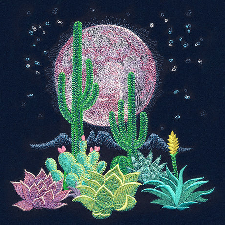 Moonlit Desert Scene