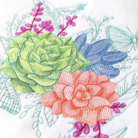 Succulents in Watercolor Medley