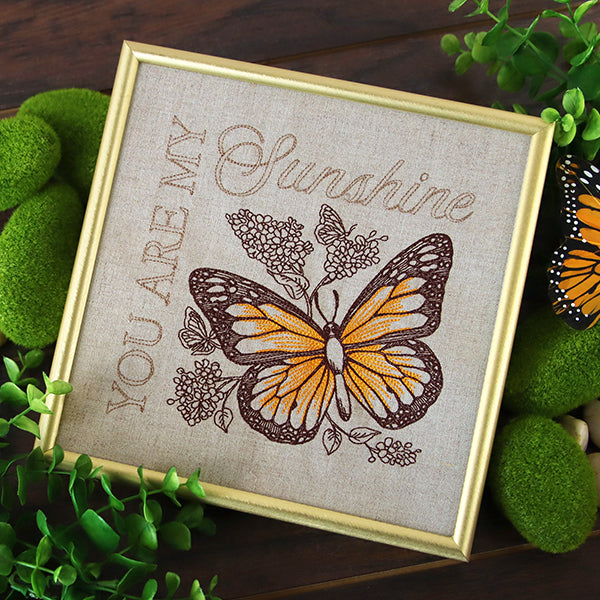 Sunshine Monarch Medley