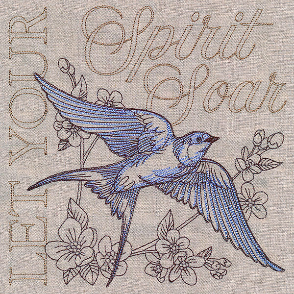 Soaring Swallow Medley