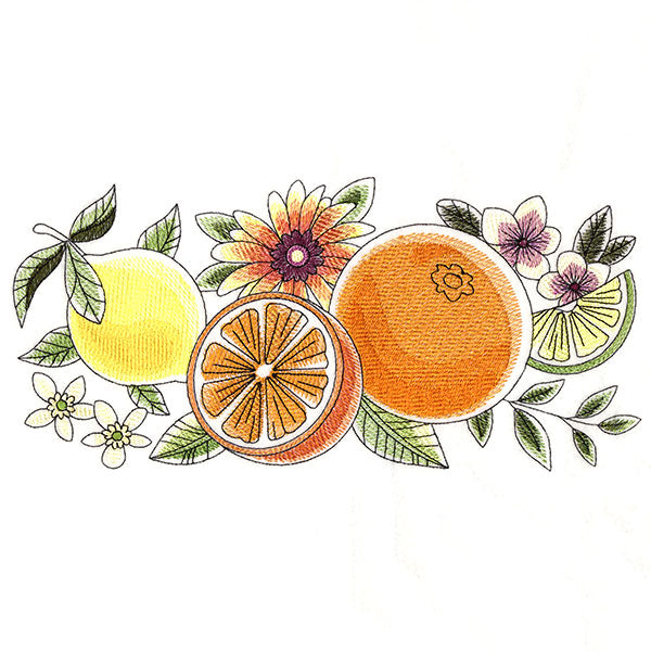 Fresh Citrus and Botanicals Border