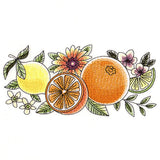 Fresh Citrus and Botanicals Border