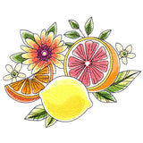 Fresh Citrus and Botanicals Accent