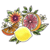 Fresh Citrus and Botanicals Accent