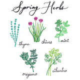 Spring Herbs