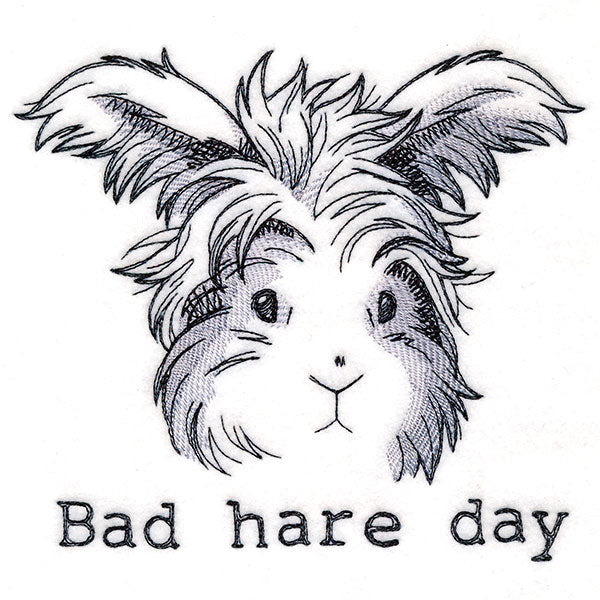Bad Hare Day