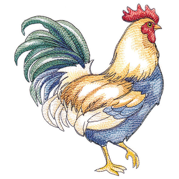 Charming Country Chicken
