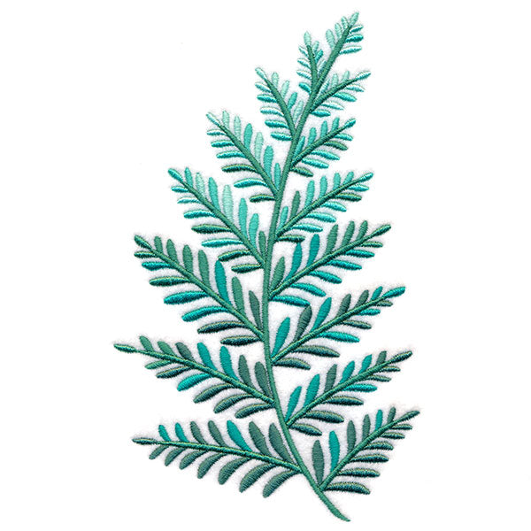 Graceful Fern