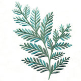 Fanciful Fern