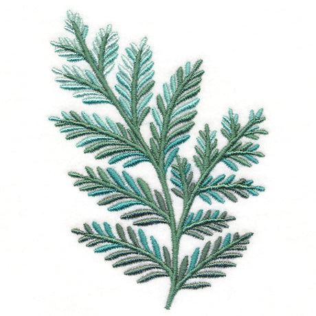 Fanciful Fern
