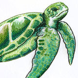 Coastal Sea Turtle