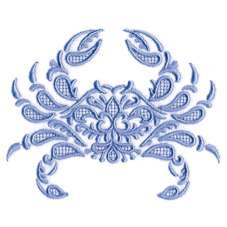 Exquisite Coastal Crab