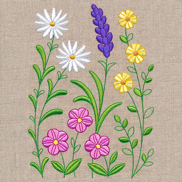 Wild Blooms Border - Tall