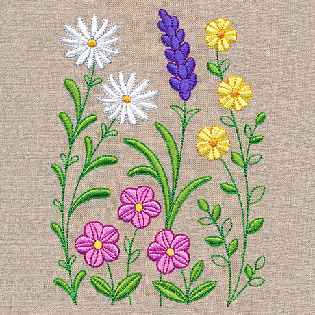 Wild Blooms Border - Tall