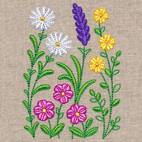 Wild Blooms Border - Tall