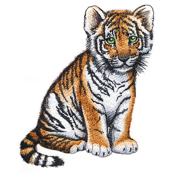 Sweet Baby Tiger