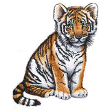 Sweet Baby Tiger