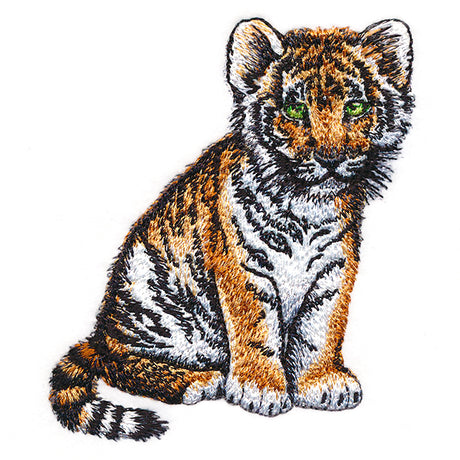 Sweet Baby Tiger