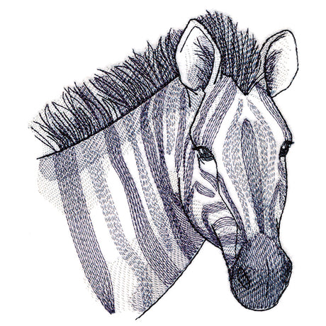 Elusive Zebra