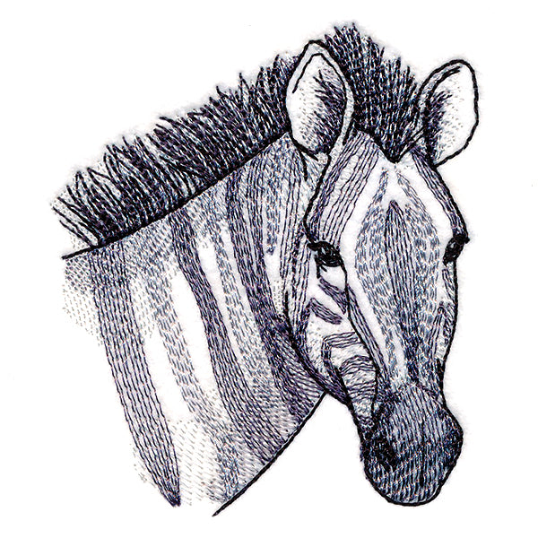 Elusive Zebra