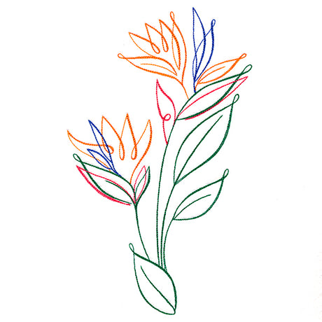 Tropical Calligraphy in Bloom - Bird of Paradise