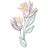 Tropical Calligraphy in Bloom - Bird of Paradise