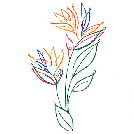 Tropical Calligraphy in Bloom - Bird of Paradise