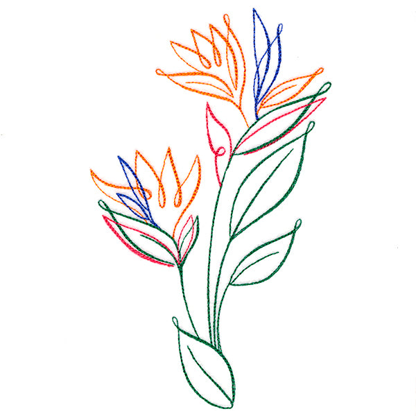 Tropical Calligraphy in Bloom - Bird of Paradise