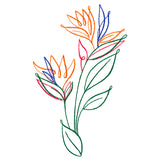 Tropical Calligraphy in Bloom - Bird of Paradise