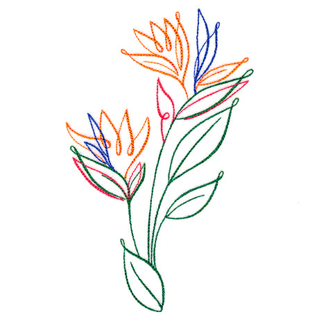 Tropical Calligraphy in Bloom - Bird of Paradise