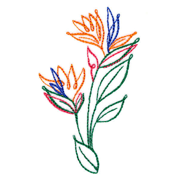 Tropical Calligraphy in Bloom - Bird of Paradise