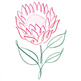 Tropical Calligraphy in Bloom - Protea