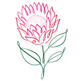 Tropical Calligraphy in Bloom - Protea