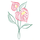 Tropical Calligraphy in Bloom - Anthurium