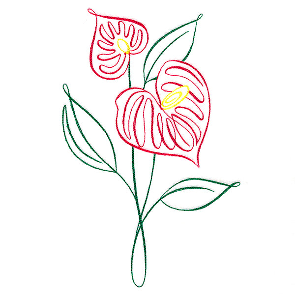 Tropical Calligraphy in Bloom - Anthurium