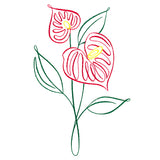 Tropical Calligraphy in Bloom - Anthurium