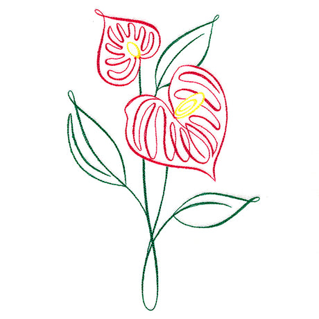Tropical Calligraphy in Bloom - Anthurium