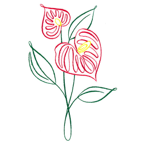 Tropical Calligraphy in Bloom - Anthurium