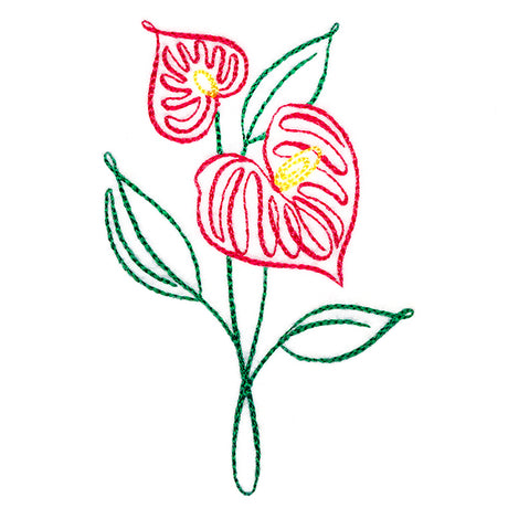 Tropical Calligraphy in Bloom - Anthurium