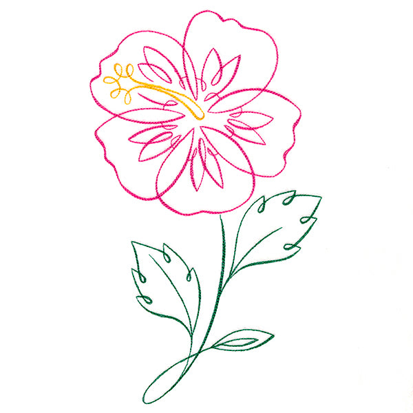 Tropical Calligraphy in Bloom - Hibiscus