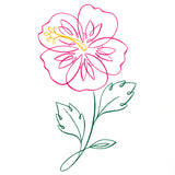 Tropical Calligraphy in Bloom - Hibiscus