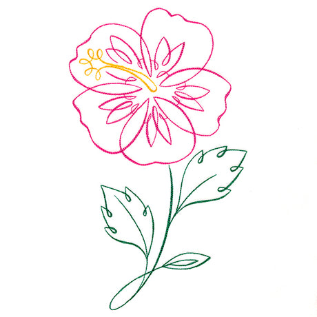 Tropical Calligraphy in Bloom - Hibiscus